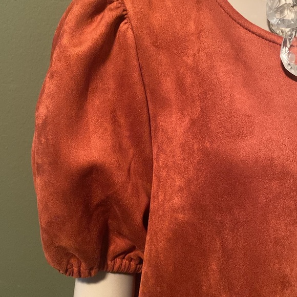 Beautiful faux suede Dress with puff shoulders, color is SPICE. BNWT,  SIZE 12. - Picture 4 of 16